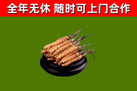 林芝市烟酒回收冬虫夏草.jpg