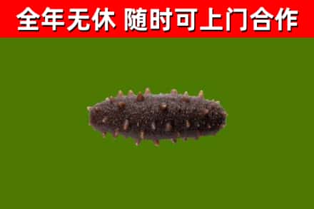 林芝市烟酒回收干海参.jpg
